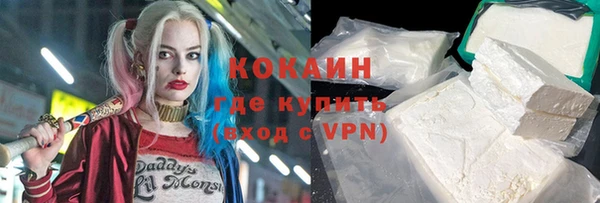 твердый Богородицк