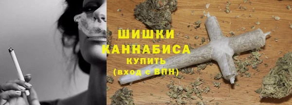 прущие грибы Богданович