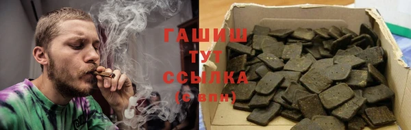 прущие грибы Богданович