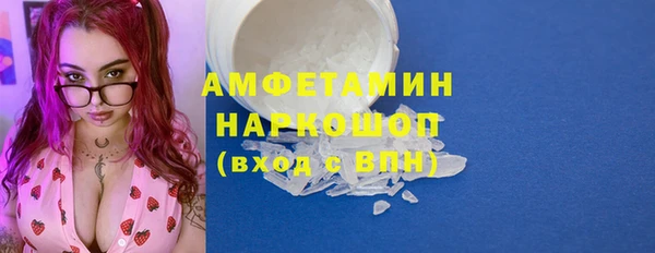 прущие грибы Богданович