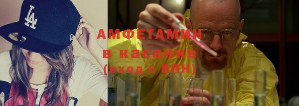 прущие грибы Богданович
