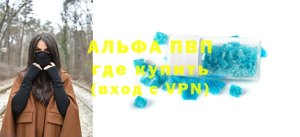 прущие грибы Богданович