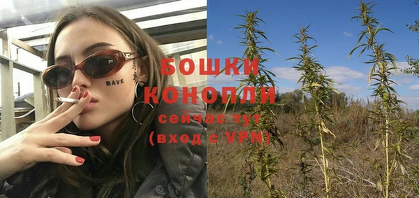 прущие грибы Богданович