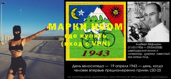 прущие грибы Богданович