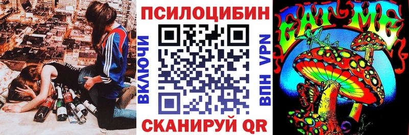 Псилоцибиновые грибы Cubensis  Купить где  Рязань 